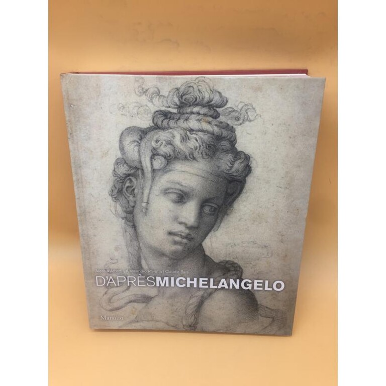 4820671 Libro d'apres michelangelo con